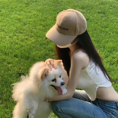 呆呆计划