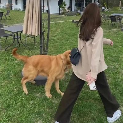 芭比